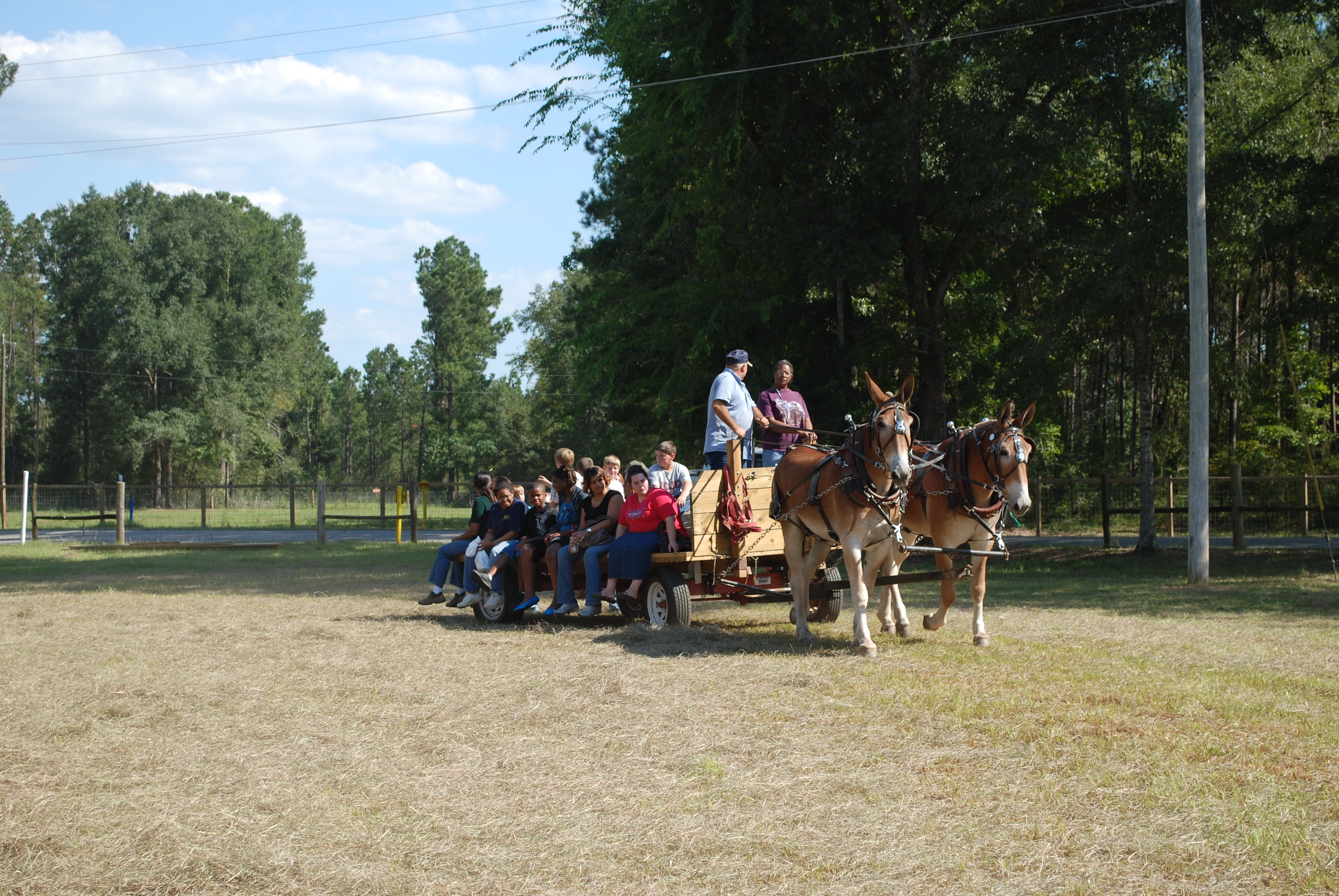 Horse-drawn wagon ride