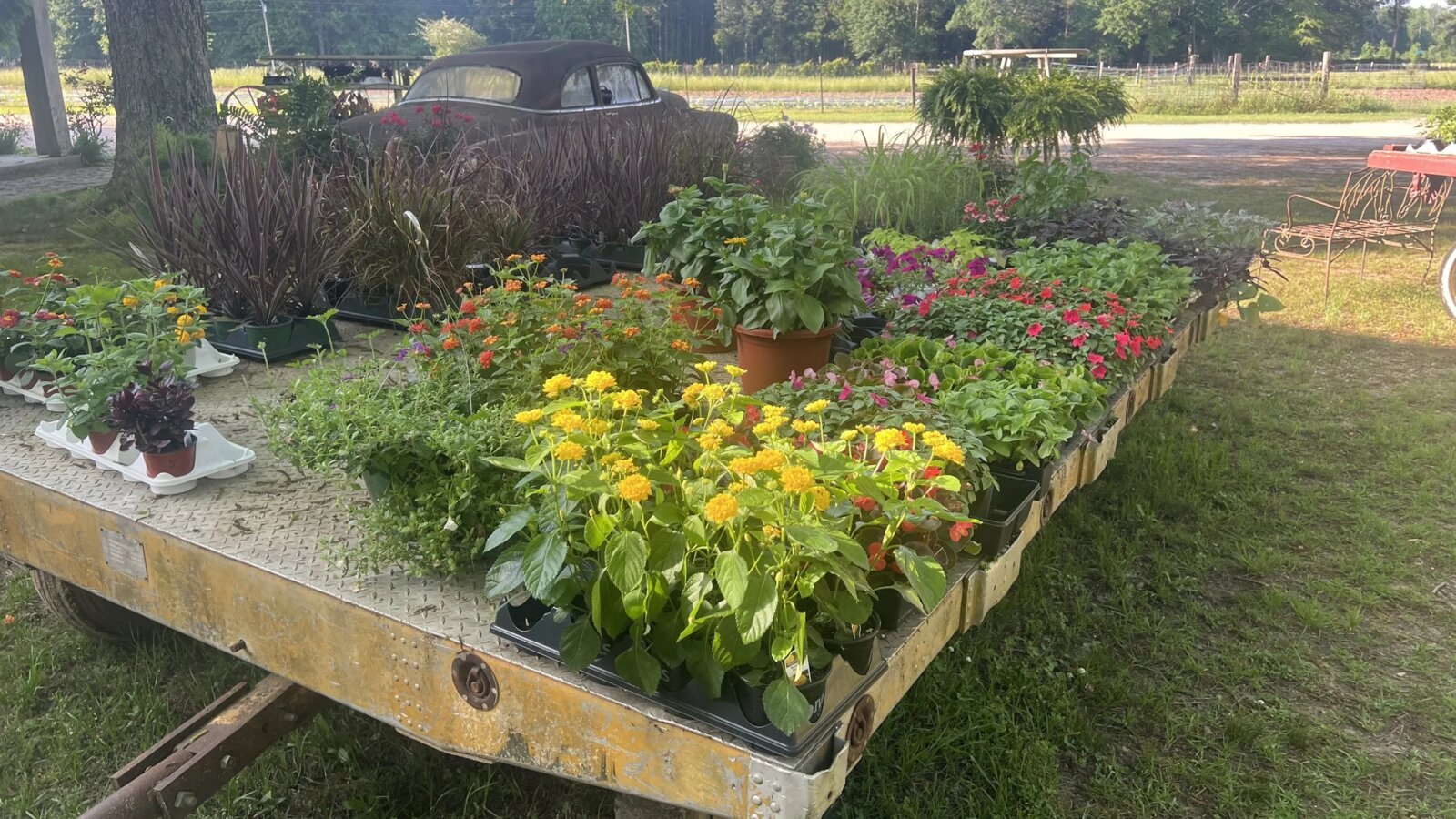 Garden Shop at Fulmer's Farmstead