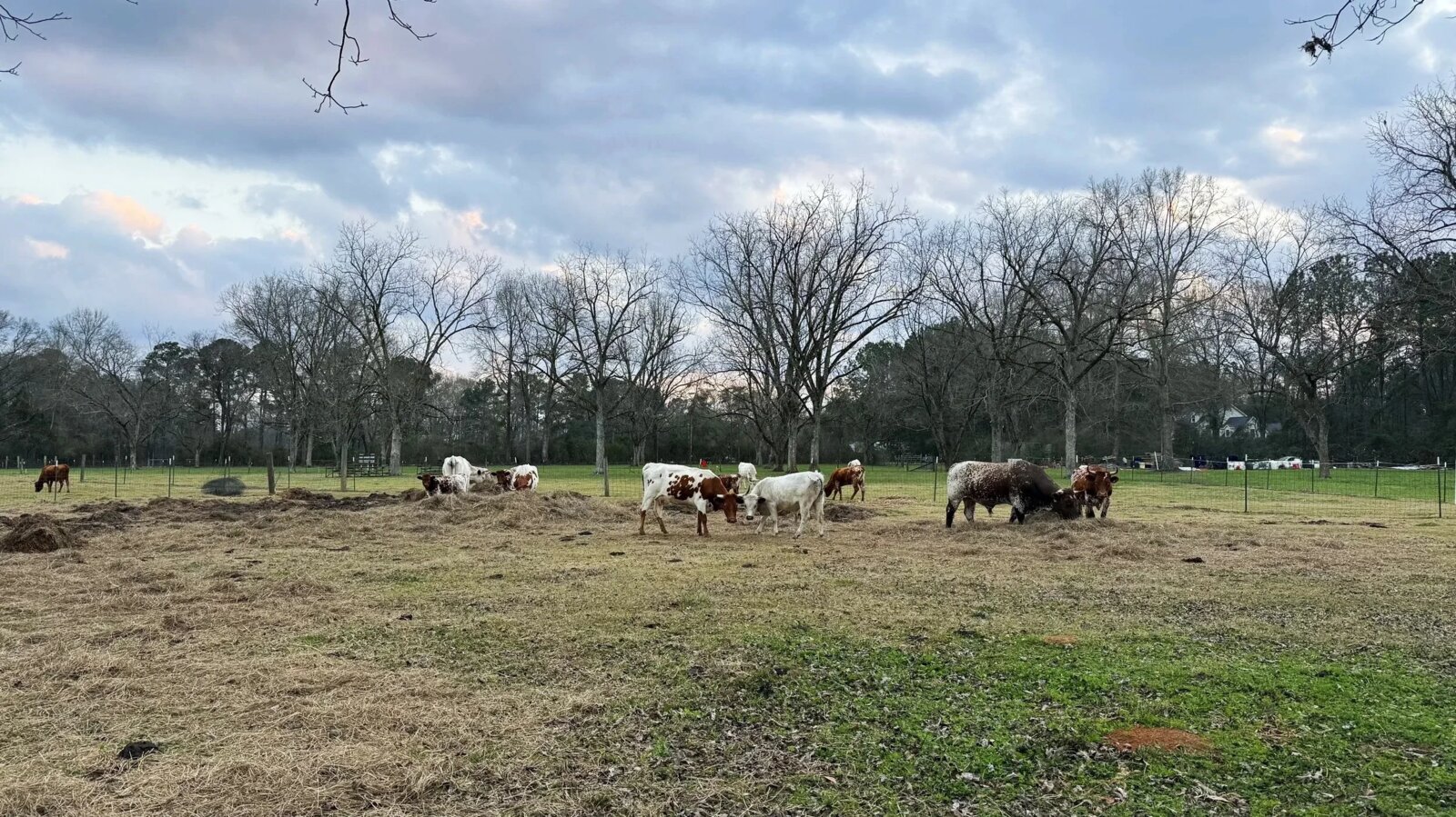 Homesteaders Gathering at Fulmer's Farmstead