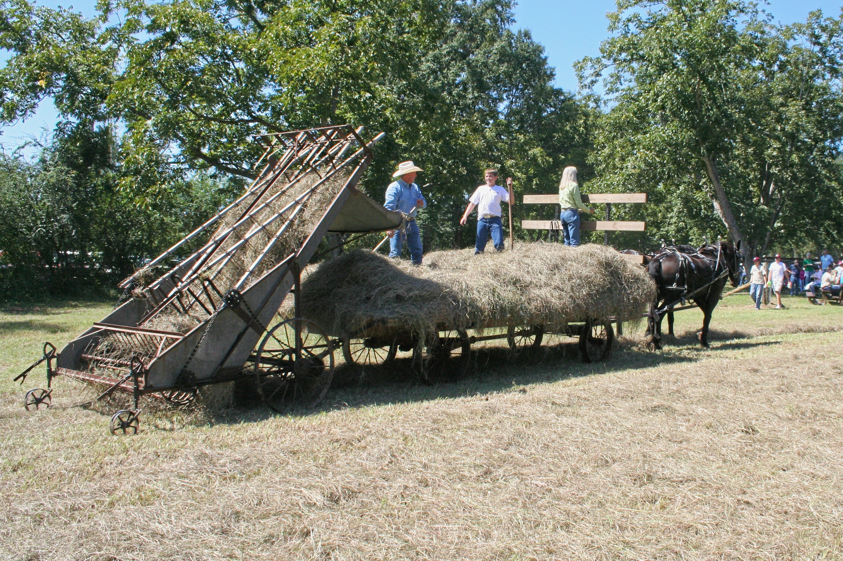 Horse-drawn hay baling at the Homesteaders Gathering