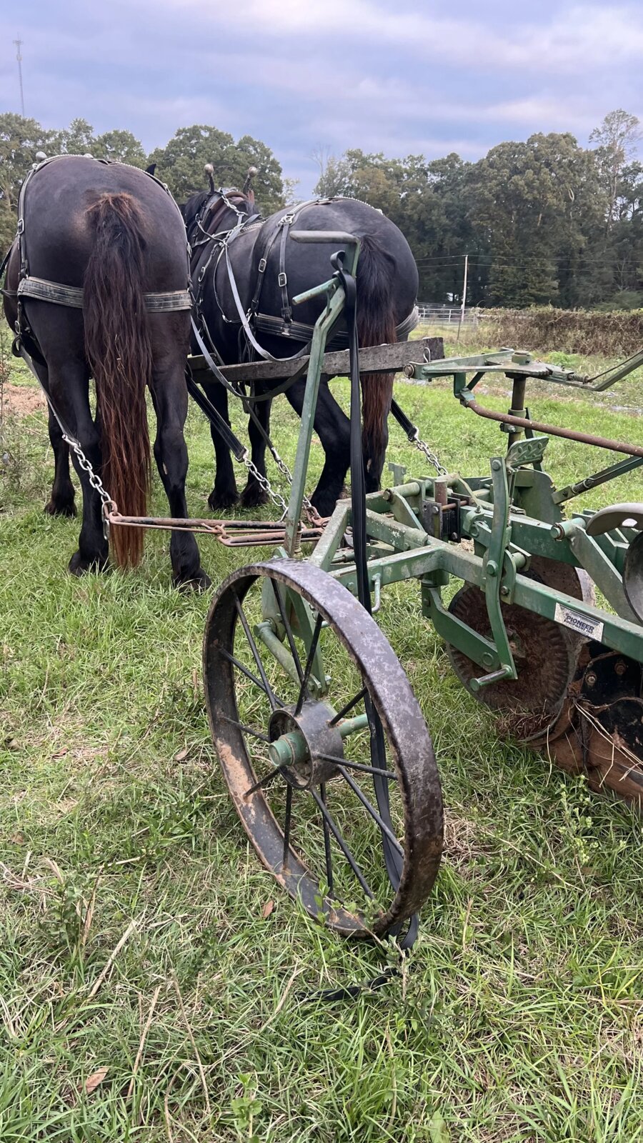 Homesteaders Gathering at Fulmer's