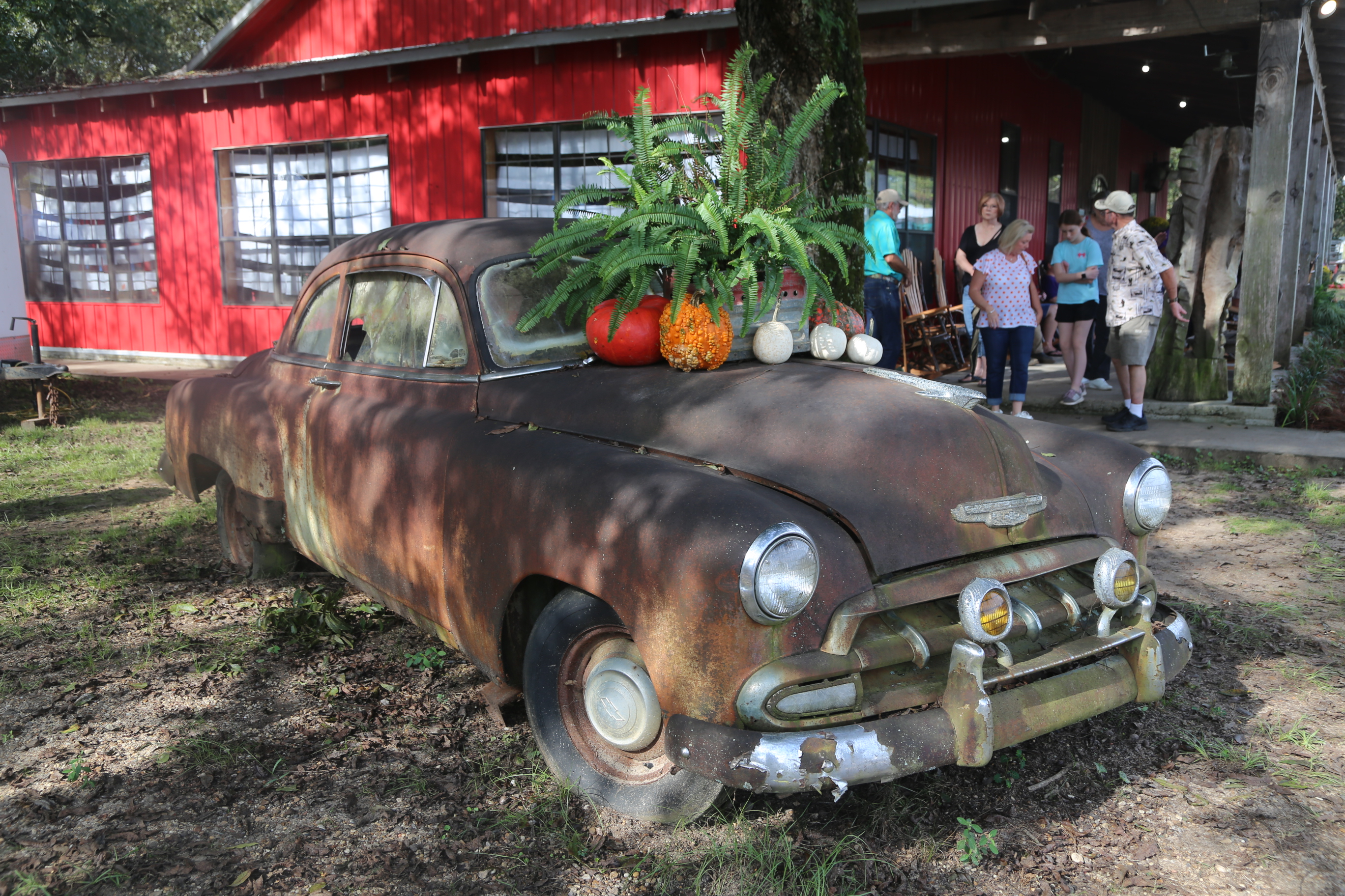 Vintage car at the Pecan Festival