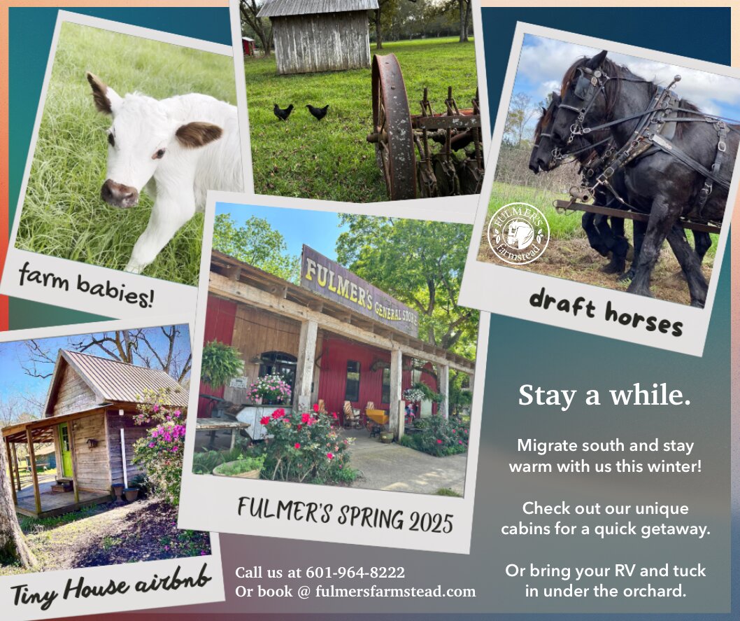 RV camping at Fulmer's Farmstead